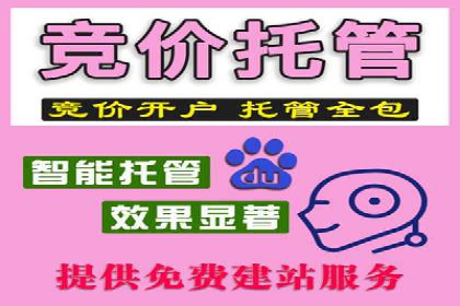 SEM运营推广助力行业领导地位